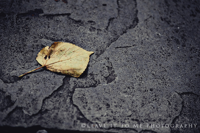 Stock Photography_Editorial Photography1