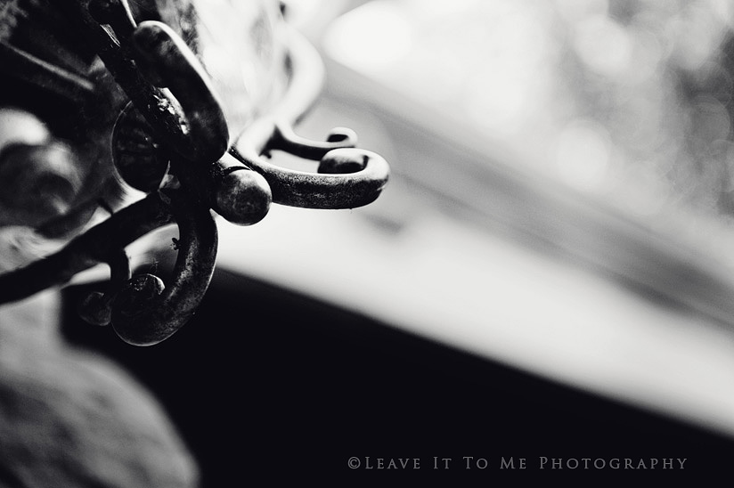 Stock Photography_Editorial Photography3