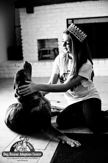 Delaware Dog Rescue6
