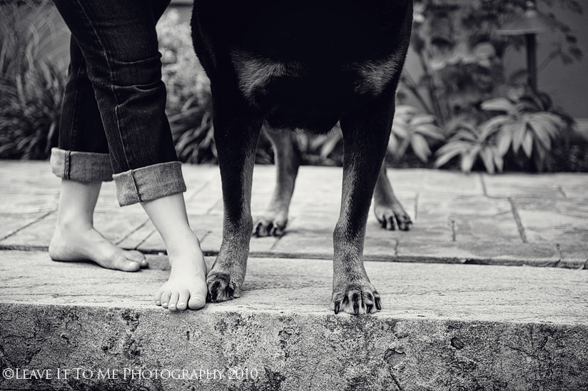 Philadelphia Pet Photographer_2