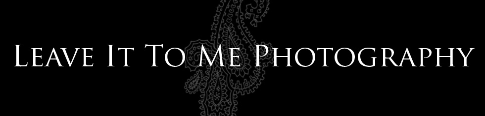 Leave It To Me Photography Blog logo